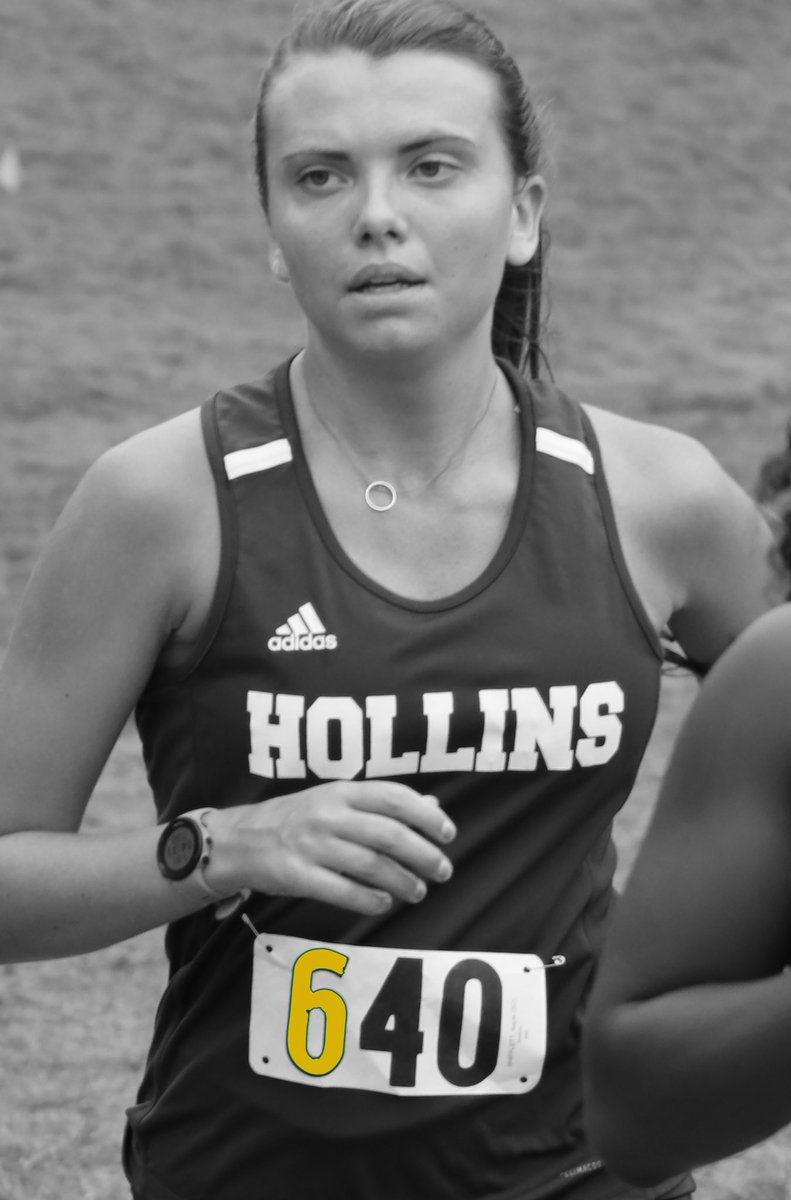 Hollins Athletics tweet media