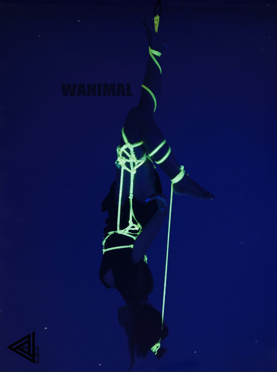 联名创作
WANIMAL X 815婆绳道 X RW BEN
Photo：<a href="/WANIMAL912/">WANIMAL | Official</a> 
Model：<a href="/shijiu90590291/">十九（赚钱补门牙）</a> 

#shibari #bondage #kinbaku #livehouse #show #contemporaryart #fashion #art #underground #china #model #artist #cosplay #tattoo #sexy #girl #bdsm #bar #tiedup #繩藝 #捆绑  #緊縛 #縛り