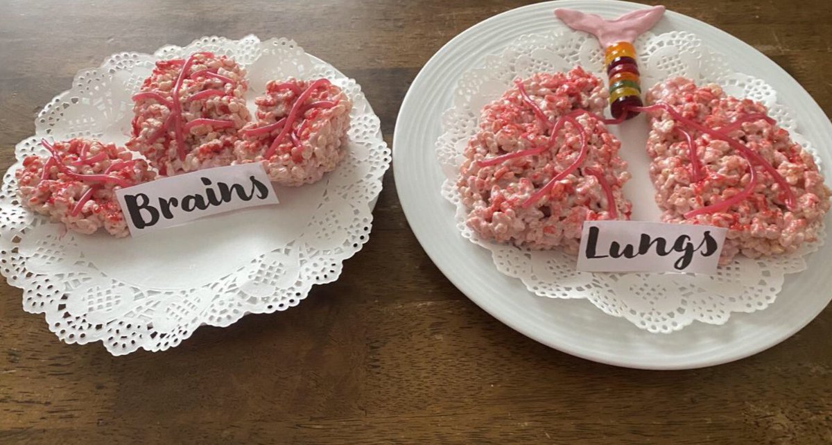 ThornhillDerry's tweet photo. Well done to Beth 9A, Cara 9H, Ella 9A and Eva 9H for these creative entries for our #ScienceBakeOff! Amazing work girls demonstrating not only your culinary skills but scientific knowledge! 🤩 👏👏👏👏👏 #giftedandtalented https://t.co/R0JsJJiL2b