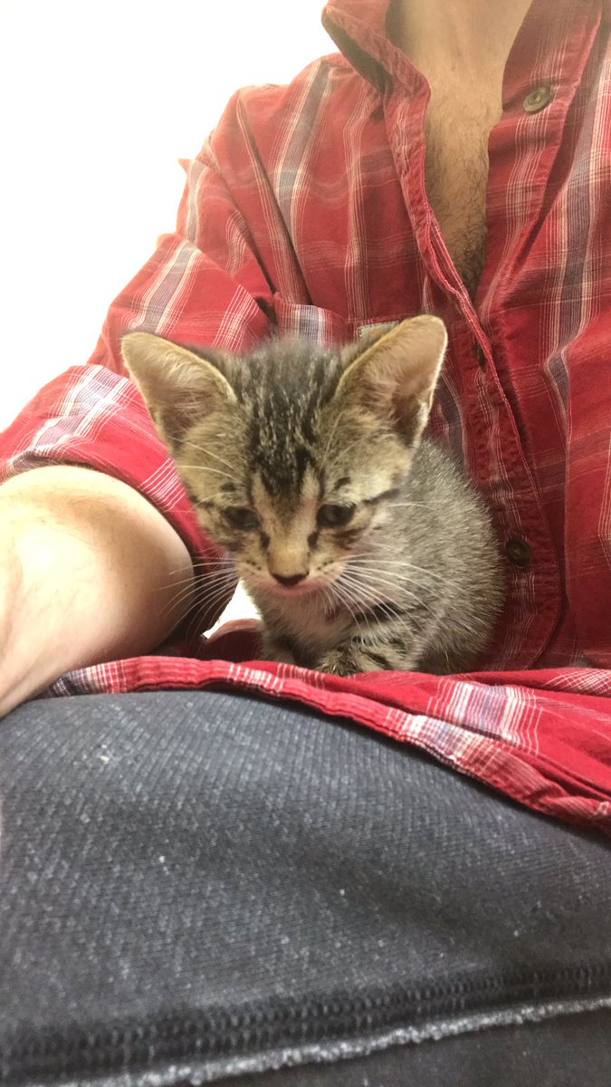 kcw0's tweet photo. What should I name this lil baby that I found yesterday https://t.co/y0XZPDaFOV