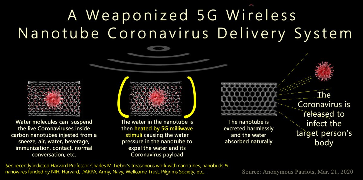 "Today, 140 years later, de Worms (Rothschild)'s vision is finally coming true in 5G and nanotubes carrying deadly virus payloads."