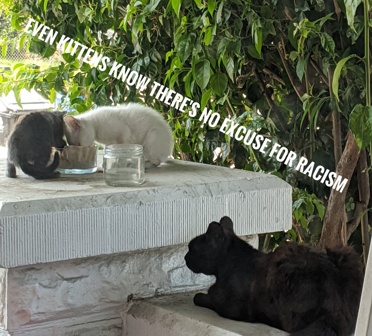 FridaInLA's tweet image. Saying #itsoktoberacist is never ok. #stopthehate #nottodaysatan #stoptheexcuses