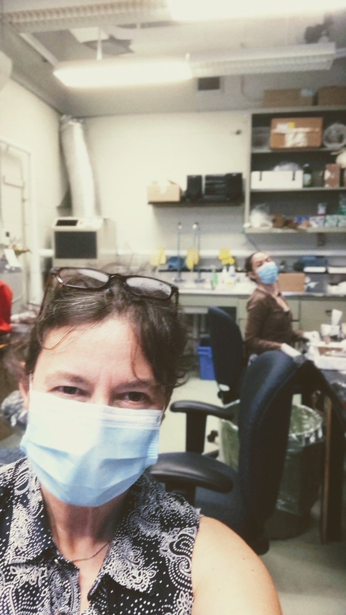 tepasslab's tweet photo. Approved to begin restarting lab work! Day 1 of the socially distanced flyroom + shifts https://t.co/l8VIrfHpvt