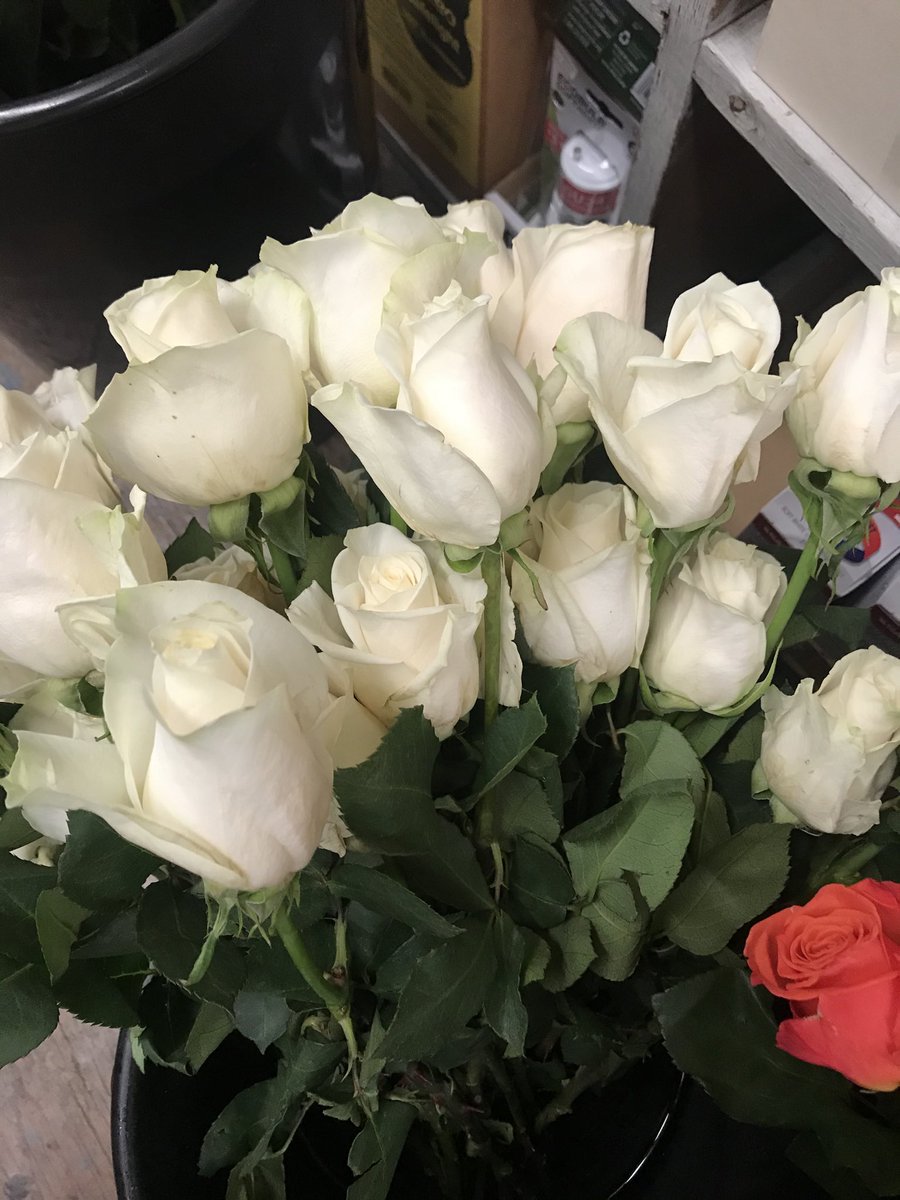 Yes fresh roses coming in on Thursday ⁦<a href="/CohenHardware/">CohenHardware</a>⁩