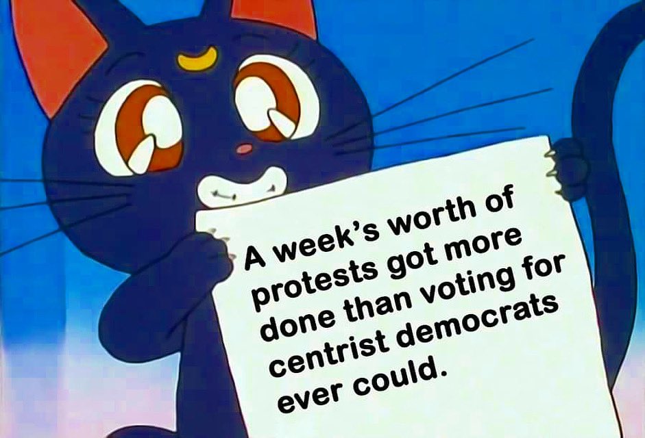 tommiesunshine's tweet photo. FACTSโผ๏ธโ #NotMeUs #Bernie2020 #FeelTheBern #NYCVotes #VoteForBernie #StillSanders #NYPrimary #KingsCounty @Blklivesmatter @Mvmnt4BlkLives https://t.co/4eM6Zks9ro