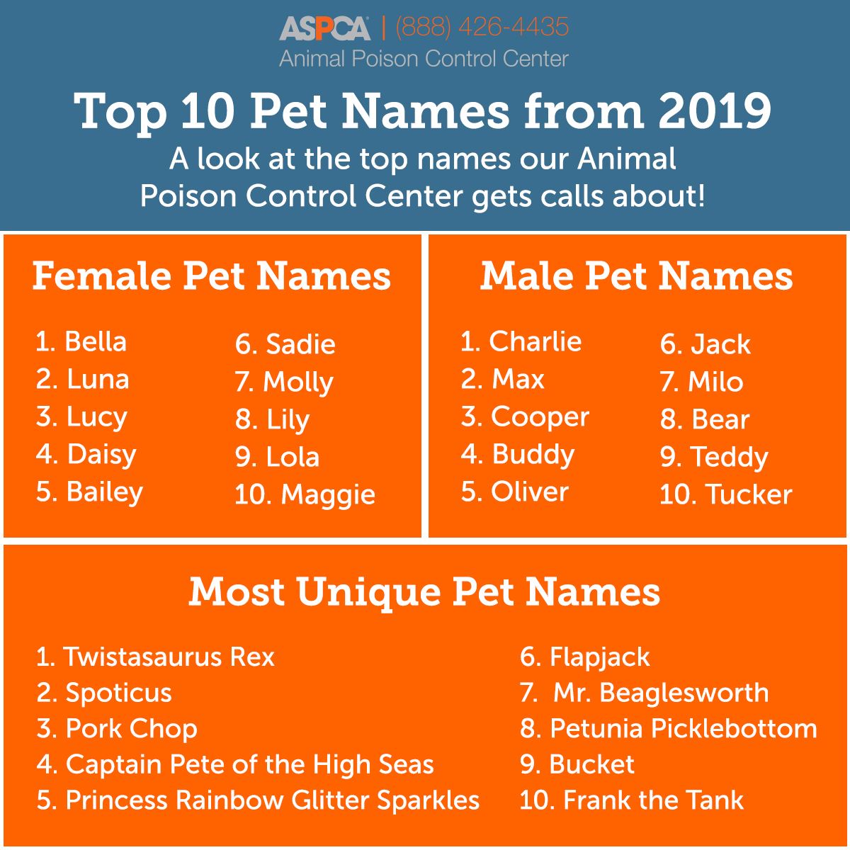 تويتر Hairy Fox على تويتر Justforfun Is Your Pet On One Of These Lists We Ve Definitely Seen All The Common Names Sometimes More Than One In The Building At The Same