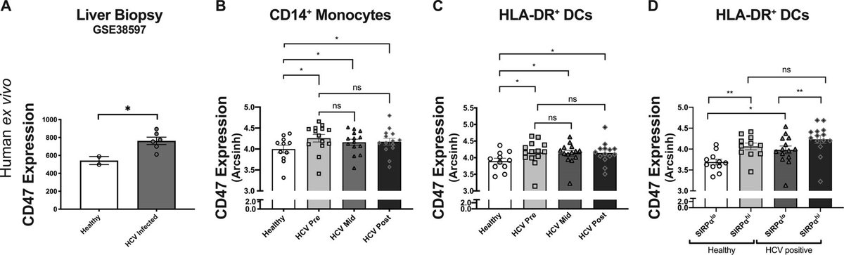 10/nwith  @CesarLopezAngel, Ed Pham, Mark Davis, Aijaz Ahmed, and Jeff Glenn we were able to look at CD47 in the sofosbuvir trial at Stanford in 2013. Yes, we've been working on this paper for a very long time. We saw that the inflammatory mileu triggered by HCV upregulates CD47.