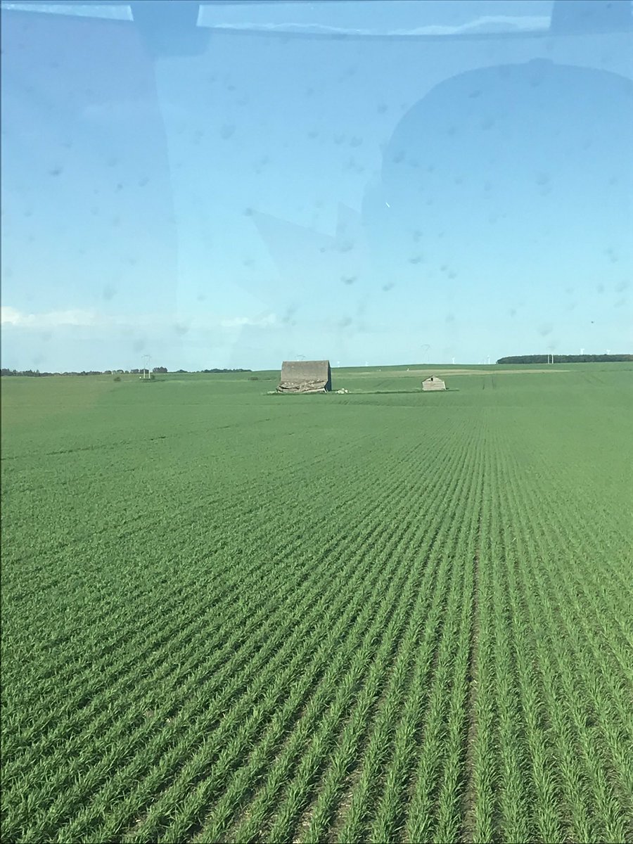 AlexVanCauwenb1's tweet photo. 120 years old and that storm didnโt even touch it #mbstorms https://t.co/s5UgLYmdAa