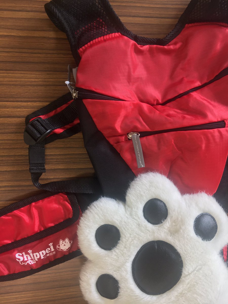 しっぺい おはよー 今日もとってもいいお天気だねー 今日は4月に発売されたリュックの紹介 ランニングやサイクリングなどにピッタリだよー しっぺいグッズ マルチスポーツリュック グッズ公募も6月30日まで受付中 しっぺい 磐田市