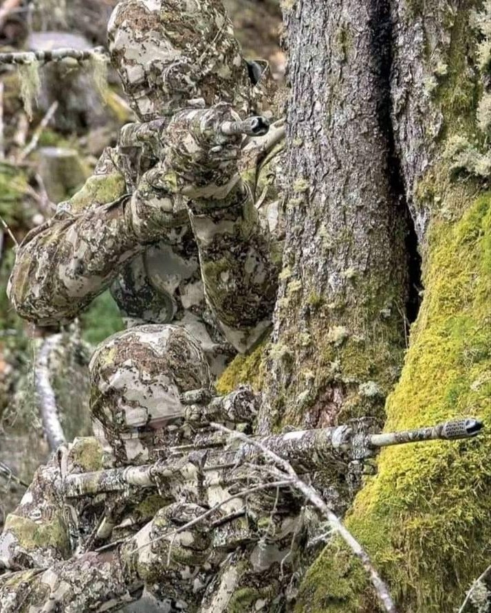 Been a while... To look is not to see, master the art of observation