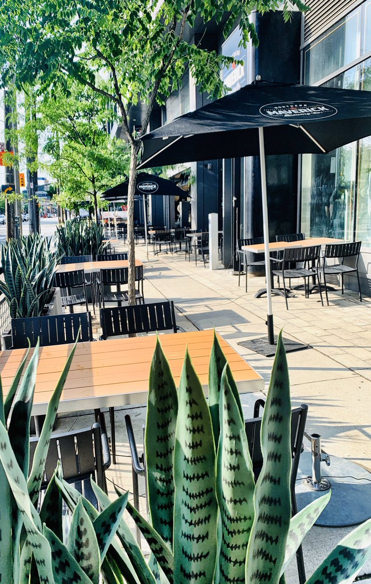 Northern Maverick tweet media