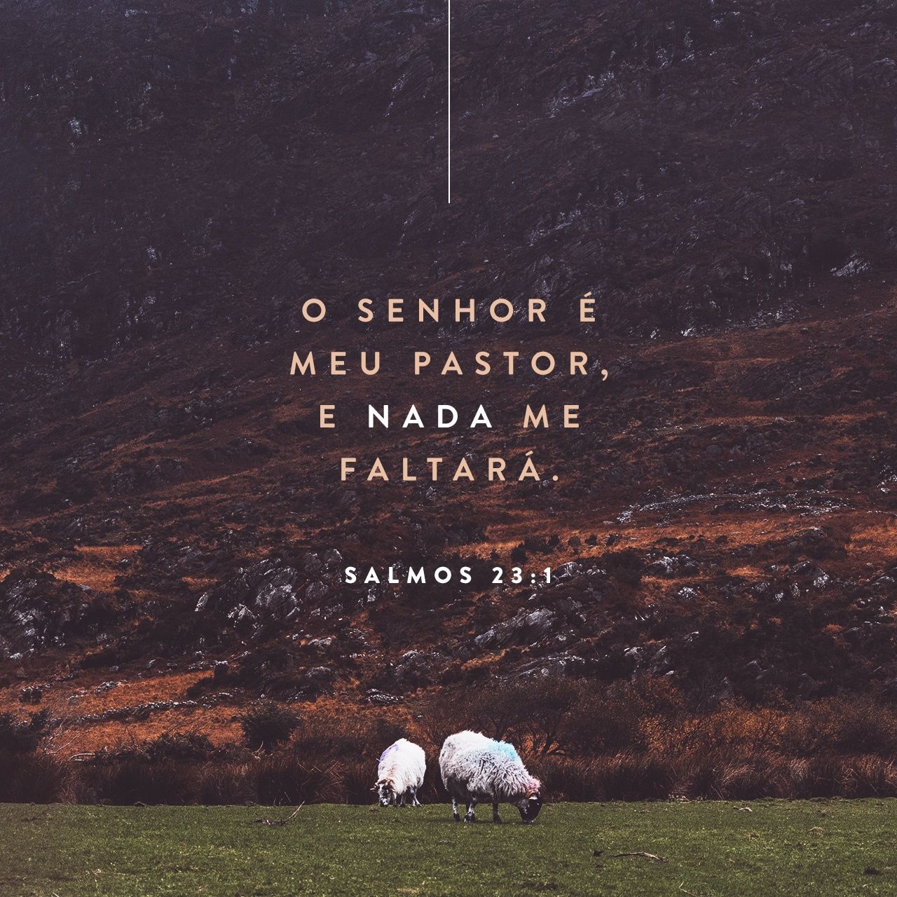 Porque o Senhor é o meu Pastor