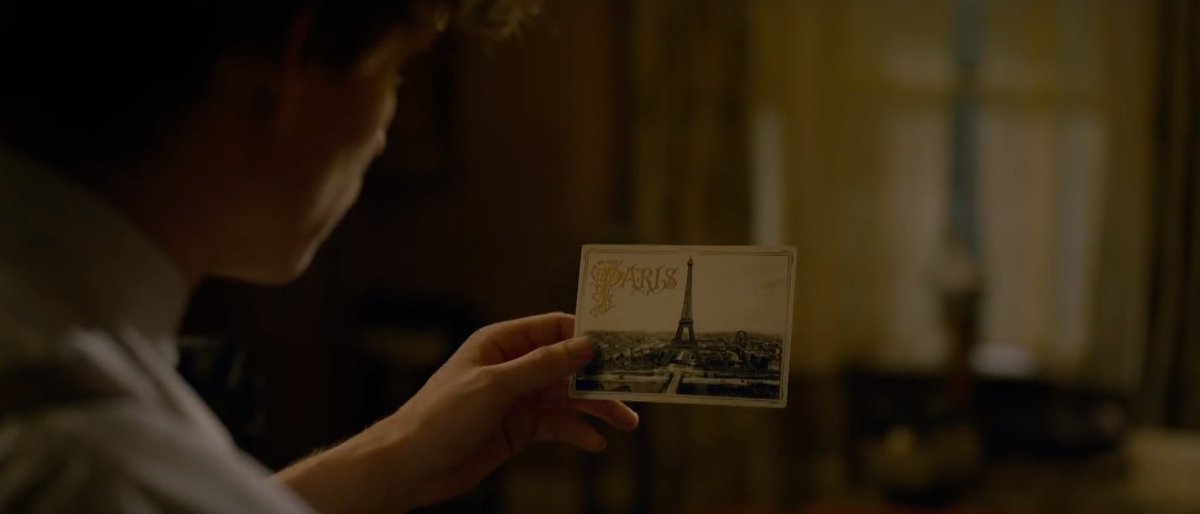 dsinhoo's tweet image. Animais Fantásticos, Os Crimes de Grindelwald