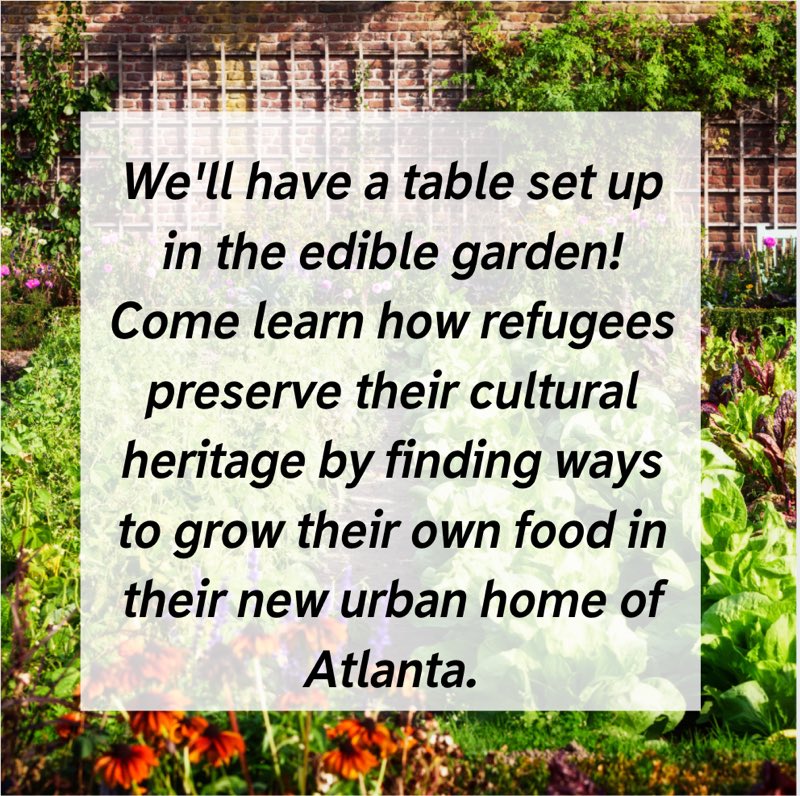 JollyAveGarden's tweet photo. Come visit us this weekend at the Atlanta Botanical Garden! We will be there from 10am - 2pm showcasing recipes provided by our very own gardeners! We will have samples of Burmese tea leaf salad, and cookies will be provided by Sweet Sweet Syria. Hope to see you then! https://t.co/mxFz57MigC