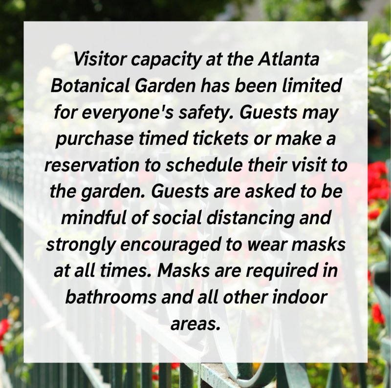 JollyAveGarden's tweet photo. Come visit us this weekend at the Atlanta Botanical Garden! We will be there from 10am - 2pm showcasing recipes provided by our very own gardeners! We will have samples of Burmese tea leaf salad, and cookies will be provided by Sweet Sweet Syria. Hope to see you then! https://t.co/mxFz57MigC