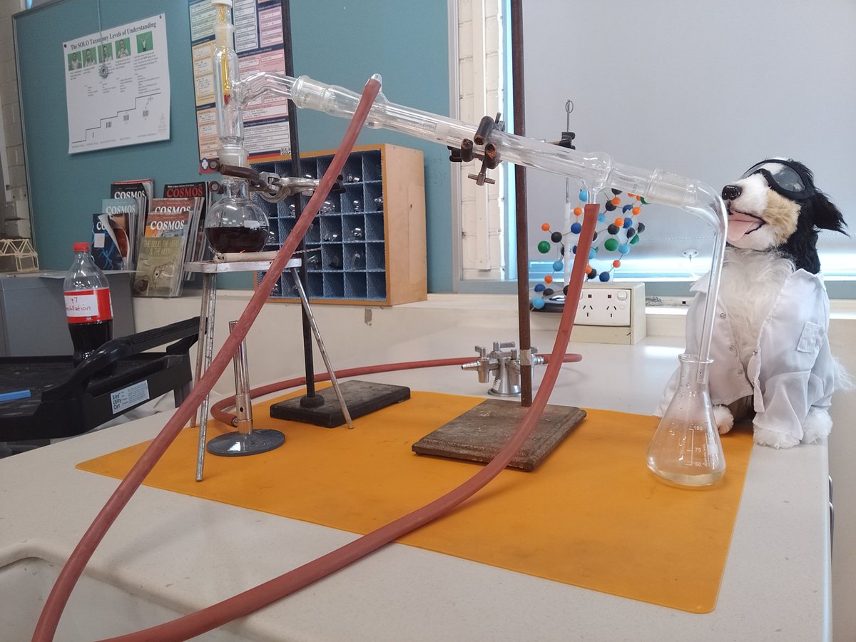 binkyjh's tweet image. @bunsenbernerbmd mini Bunsen has made it to Australia!! 🙌😊♥️
Now it's time to teach the kids about distillation ... #ScienceDog