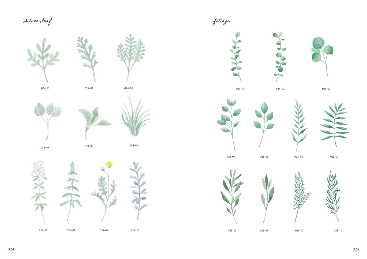 Ingectar E Design Ingectar Eの書籍紹介 かわいい南仏のデザイン素材集 ボタニカルデザインブック 南フランスのナチュラルなライフスタイルショップに並ぶ ハーブや多肉 ドライフラワーなど オシャレな植物 をモチーフに写真と イラスト