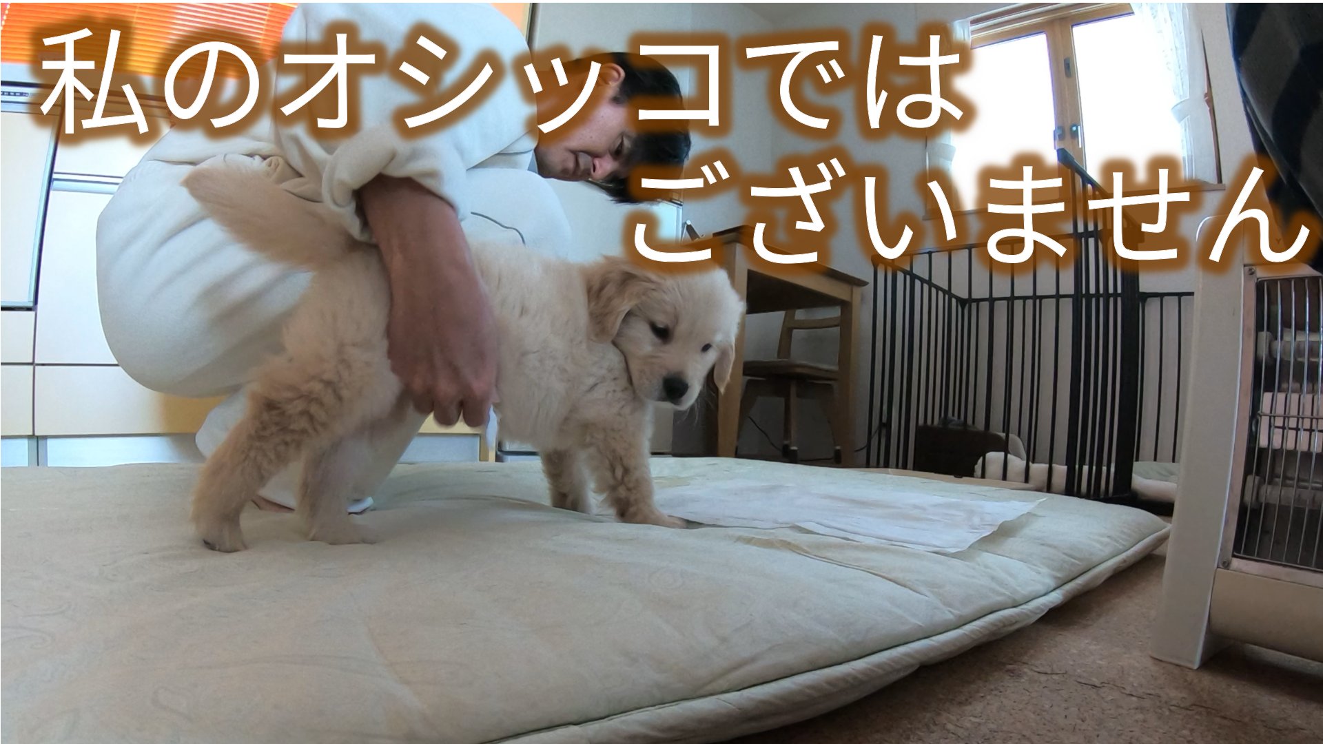 布団におしっこ Twitter Search Twitter