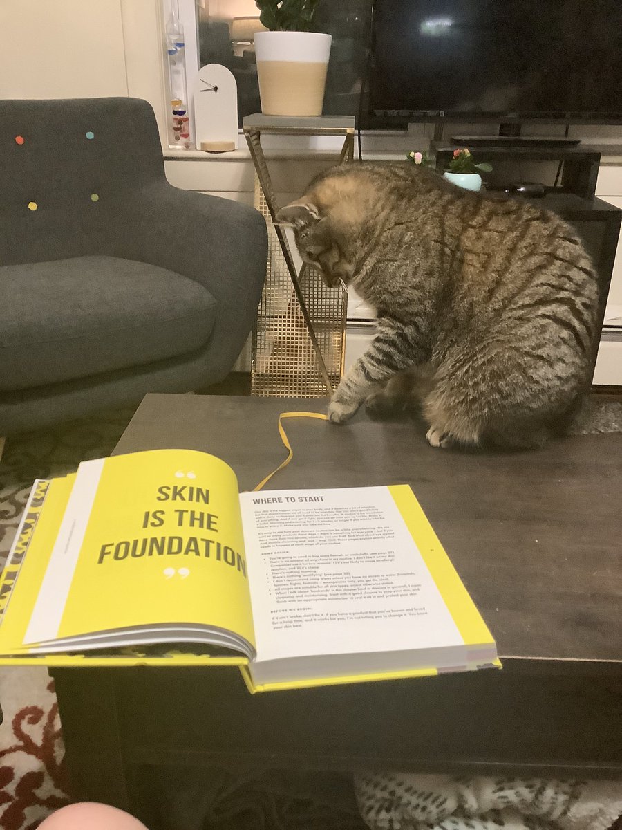 nlbenj's tweet photo. @CarolineHirons  Your book was delivered here in Boston MA today! I've read the intro and it's so informative. And my cat thanks you for the thoughtful inclusion of a ribbon marker. https://t.co/jms3uaJcoo