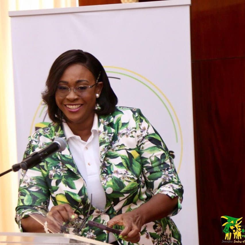 Save Our Boys & Girls Foundation JA tweet media