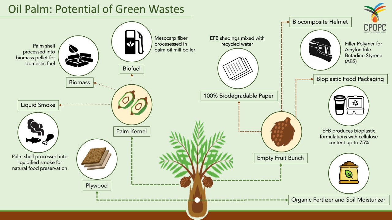 Sustainability: Paper from Palm Oil Production Residues