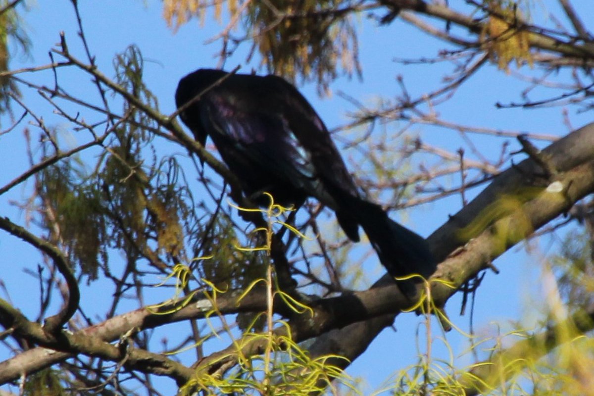 Efua Peterson tweet media