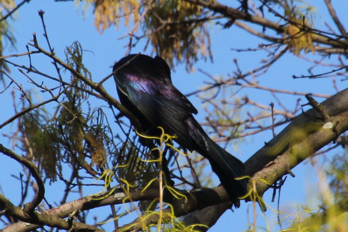 Efua Peterson tweet media