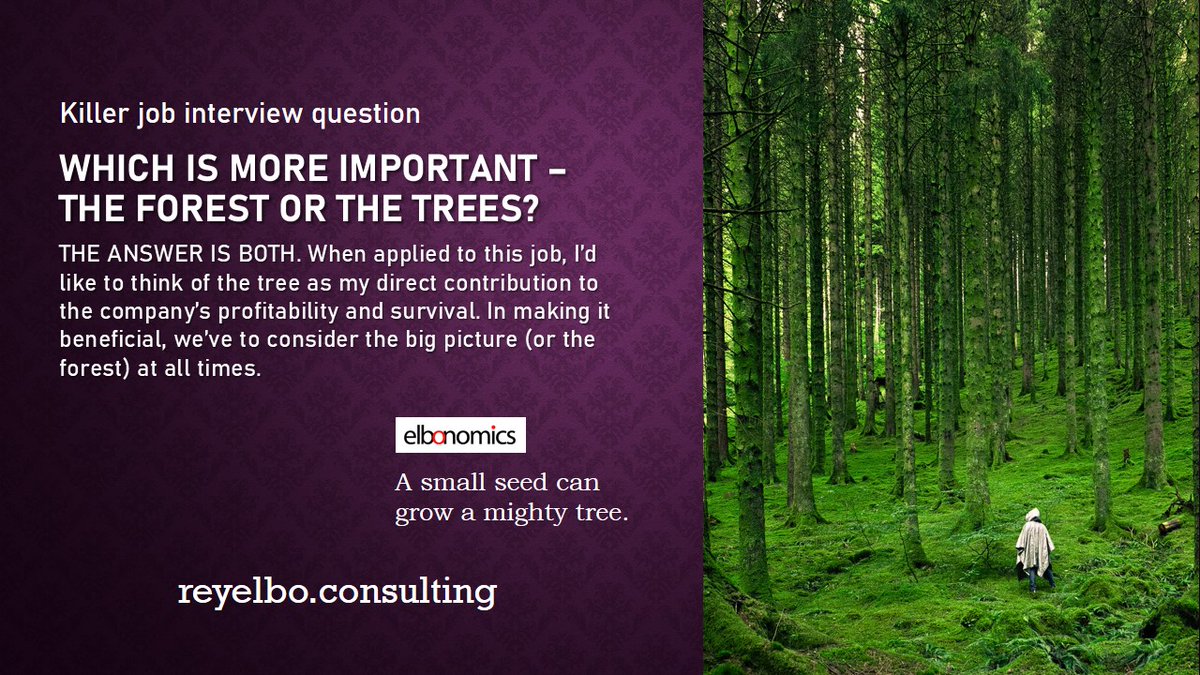 Rey_Elbo's tweet image. ELBONOMICS: A small seed can become a mighty tree. Imagine what you&apos;ve done since you were a baby. #TreeVersusForest #JobInterviewQuestion