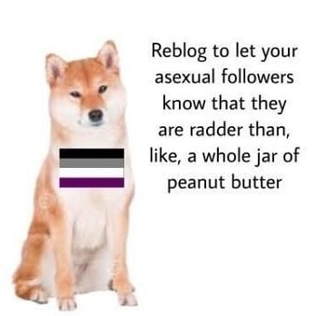 oak 🍃 tweet media