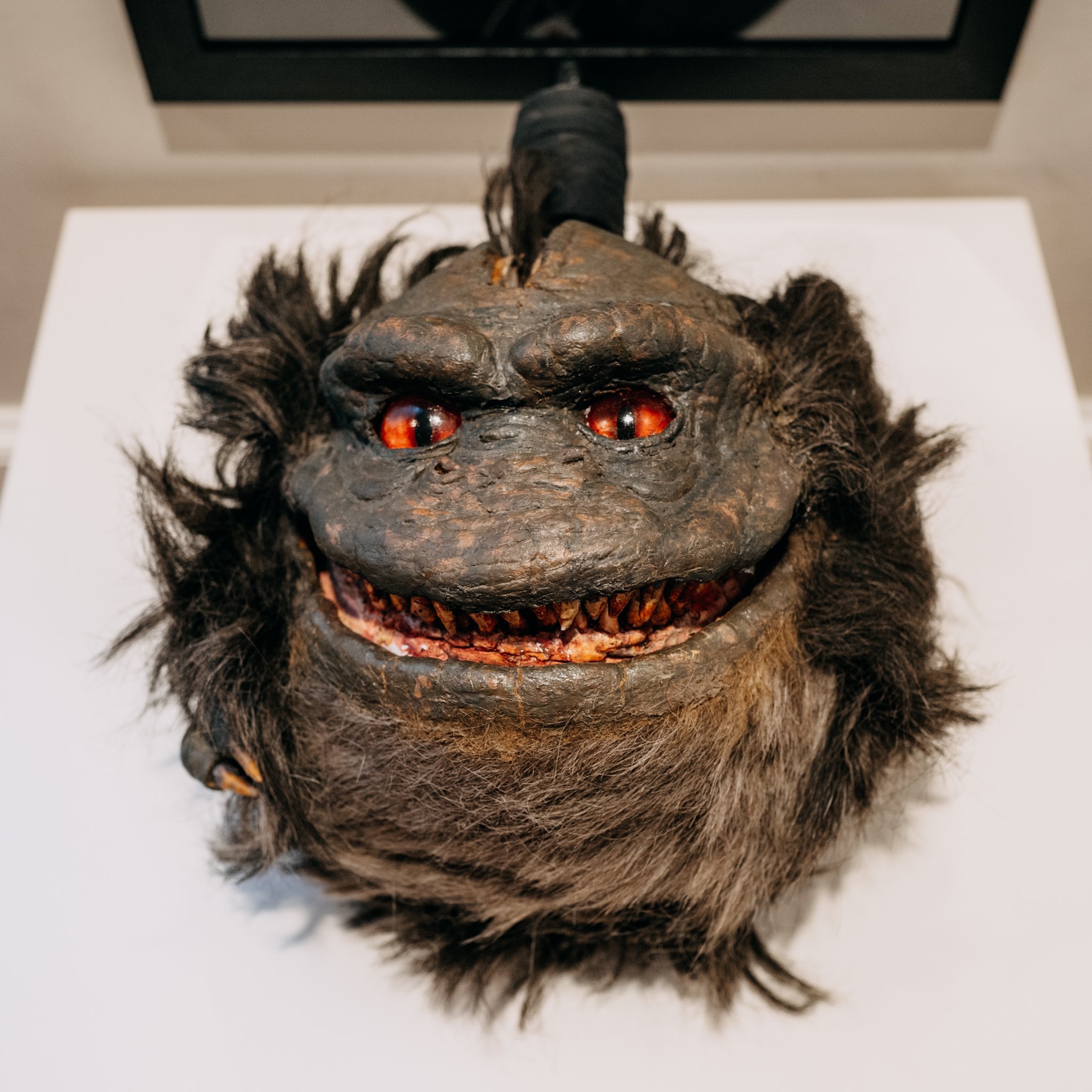 Зубастик елшняги. Детский сад зубастик обложка. Зубастик елшняги. Зубастики охотник за головами 2014. Зубастик гель зоогигиенический стоматологический 30мл.