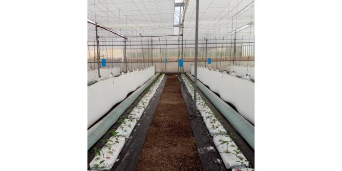Refriamericas's tweet photo. Análisis para mejorar producción bajo invernadero con sistemas pasivos de calefacción y refrigeración https://t.co/zWmunD8bFL https://t.co/IbwDQ2BRJX