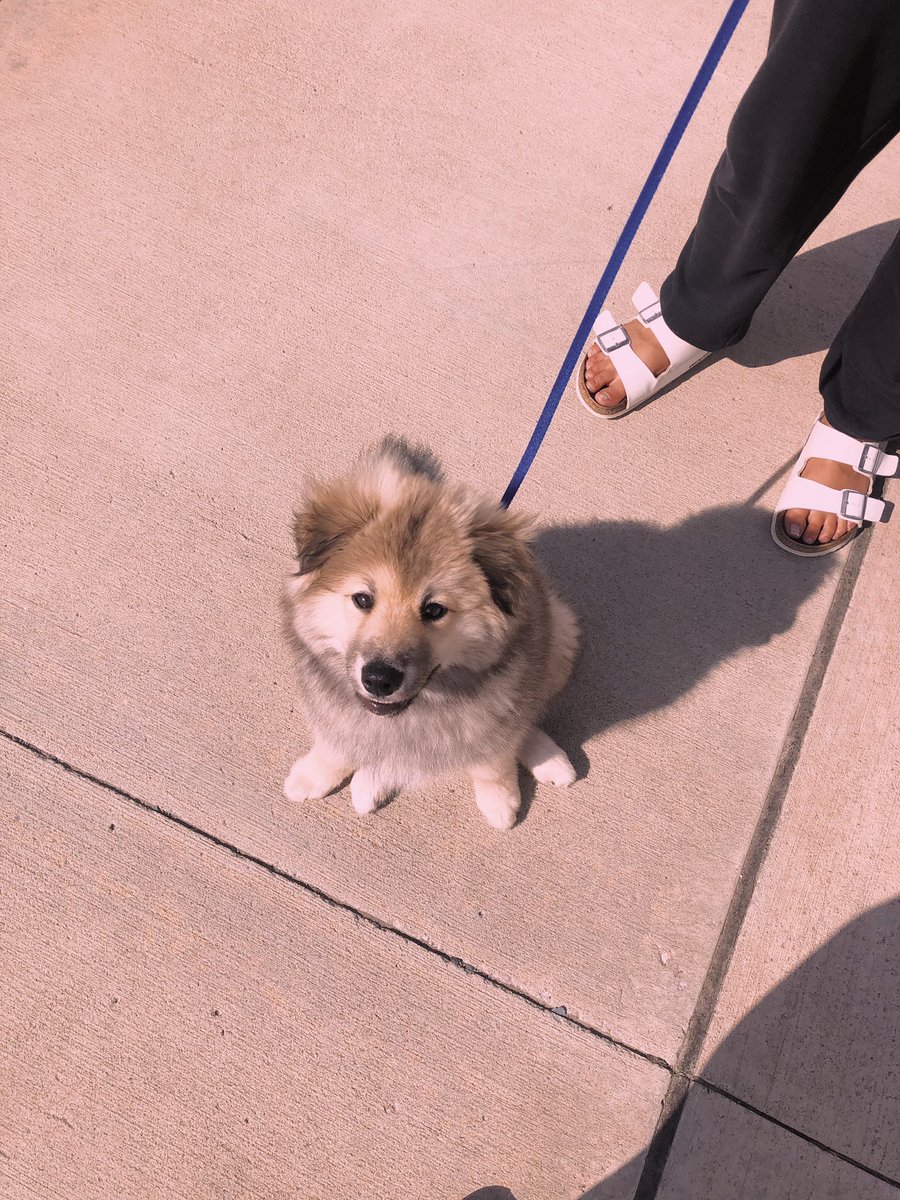 AllyVitko's tweet photo. my heart is happy 🥺 https://t.co/BIVnDNmuiK