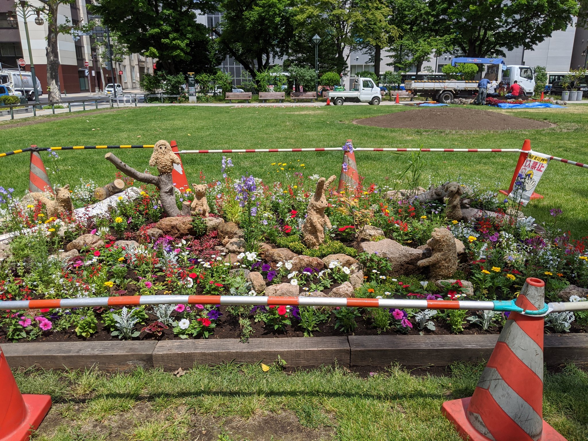 北海道press サポカン 札朱の鈴木です 花フェスタ札幌は中止ですが花壇の製作は進んでいます 毎年恒例 大通公園4丁目のかわいい花壇は今年も健在 札幌 サポカン 大通公園 花フェスタ札幌 T Co J3gqp218g1 Twitter