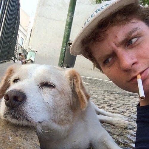 perritos_qctd's tweet photo. https://t.co/sw9wZFlr3t