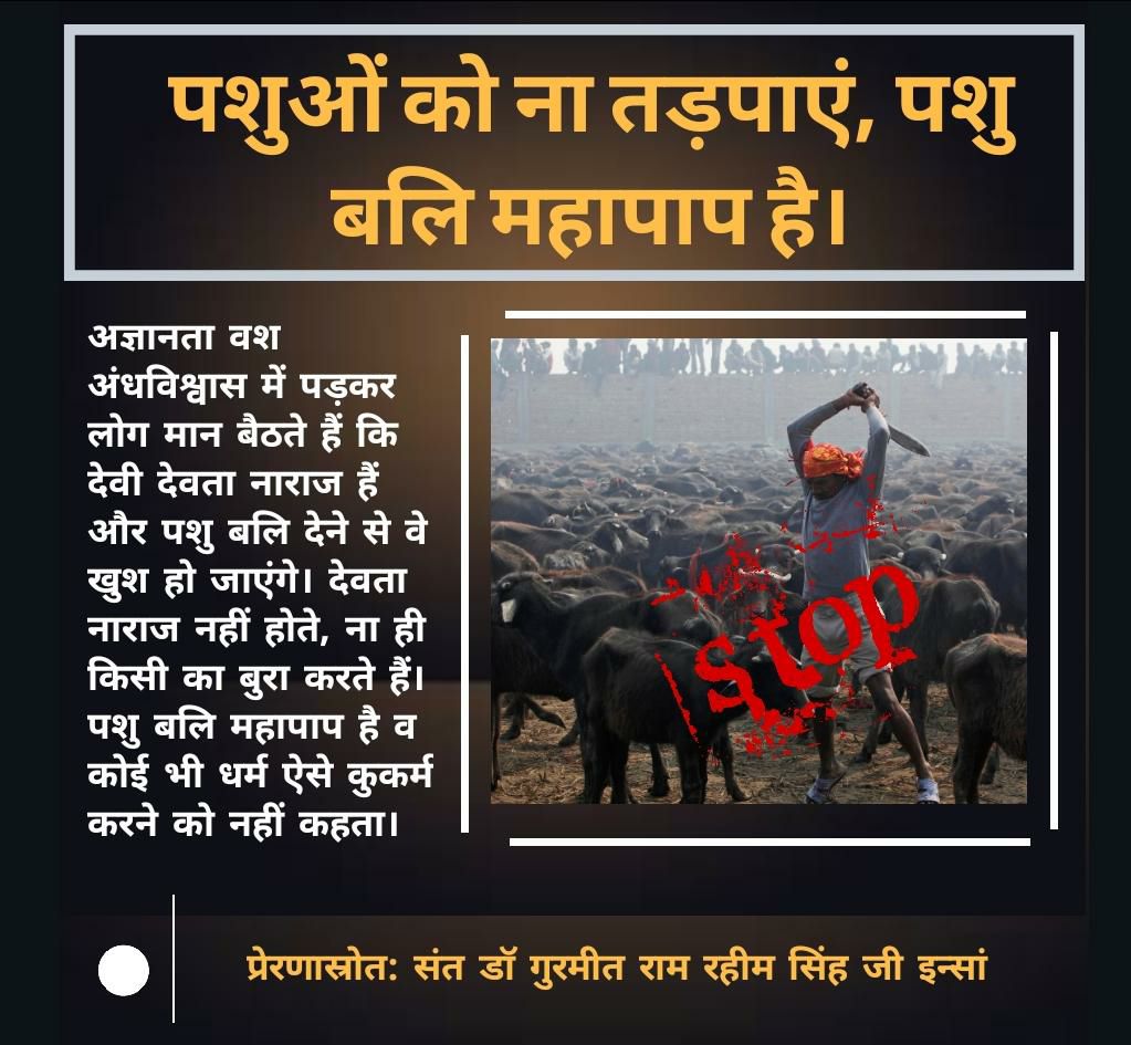 ishanch77353389's tweet photo. Guruji @Gurmeetramrahim ji explains that no god and goddess does not ask for any animal, sacrifice, nor is it written in any religion to kill any innocent, it is a custom made by humans to avoid them all. #LiveMythFree https://t.co/ELvJ2KxB1s