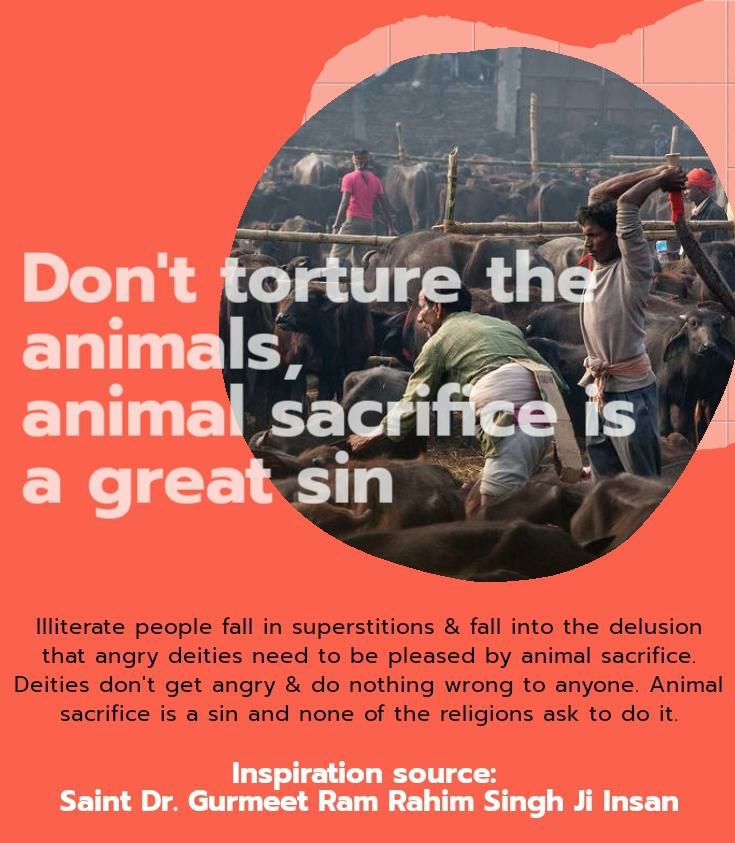 ishanch77353389's tweet photo. Guruji @Gurmeetramrahim ji explains that no god and goddess does not ask for any animal, sacrifice, nor is it written in any religion to kill any innocent, it is a custom made by humans to avoid them all. #LiveMythFree https://t.co/ELvJ2KxB1s