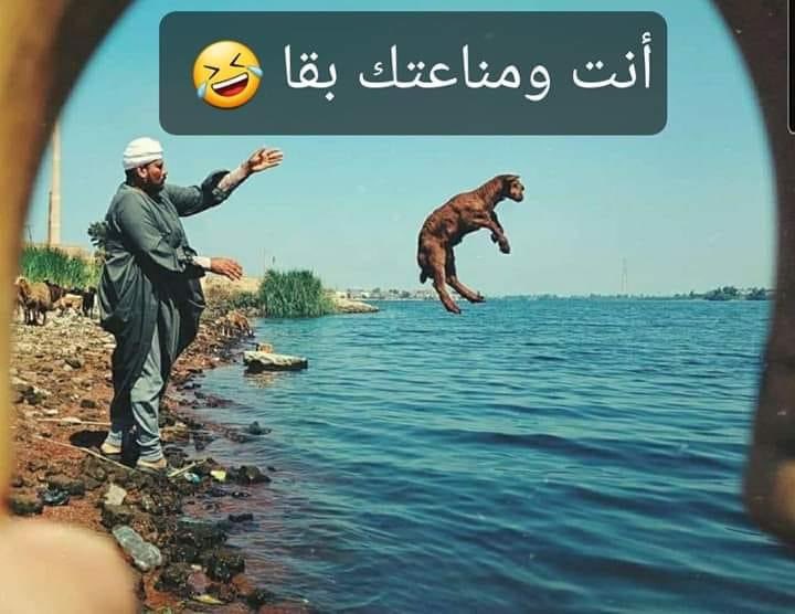 ahmeeed05's tweet photo. https://t.co/kFA1n8kG7t