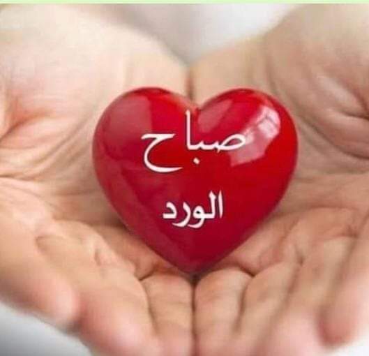 💞"أصبحنا وأصبح الملك لله "💞
💖اللهم إزرع في قلوبنا راحةً
دائمة  وأملا  ًبك  لا يخيـــب .💖