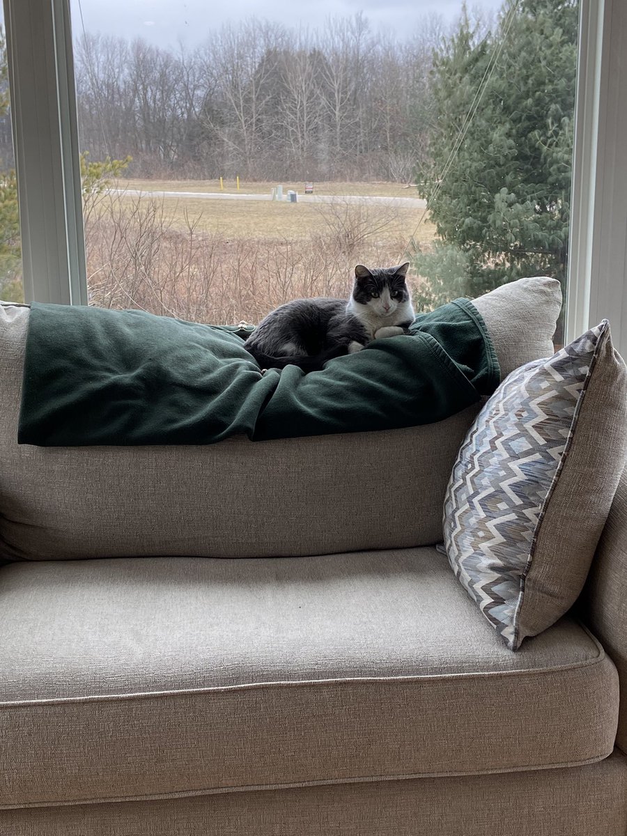 Check out the top-notch equipment Miss Sassypants has for the #TourDeCouch.   #NiceBlankie #SuperCouch #Pillowton #LovelyView  #SquishyHillSection