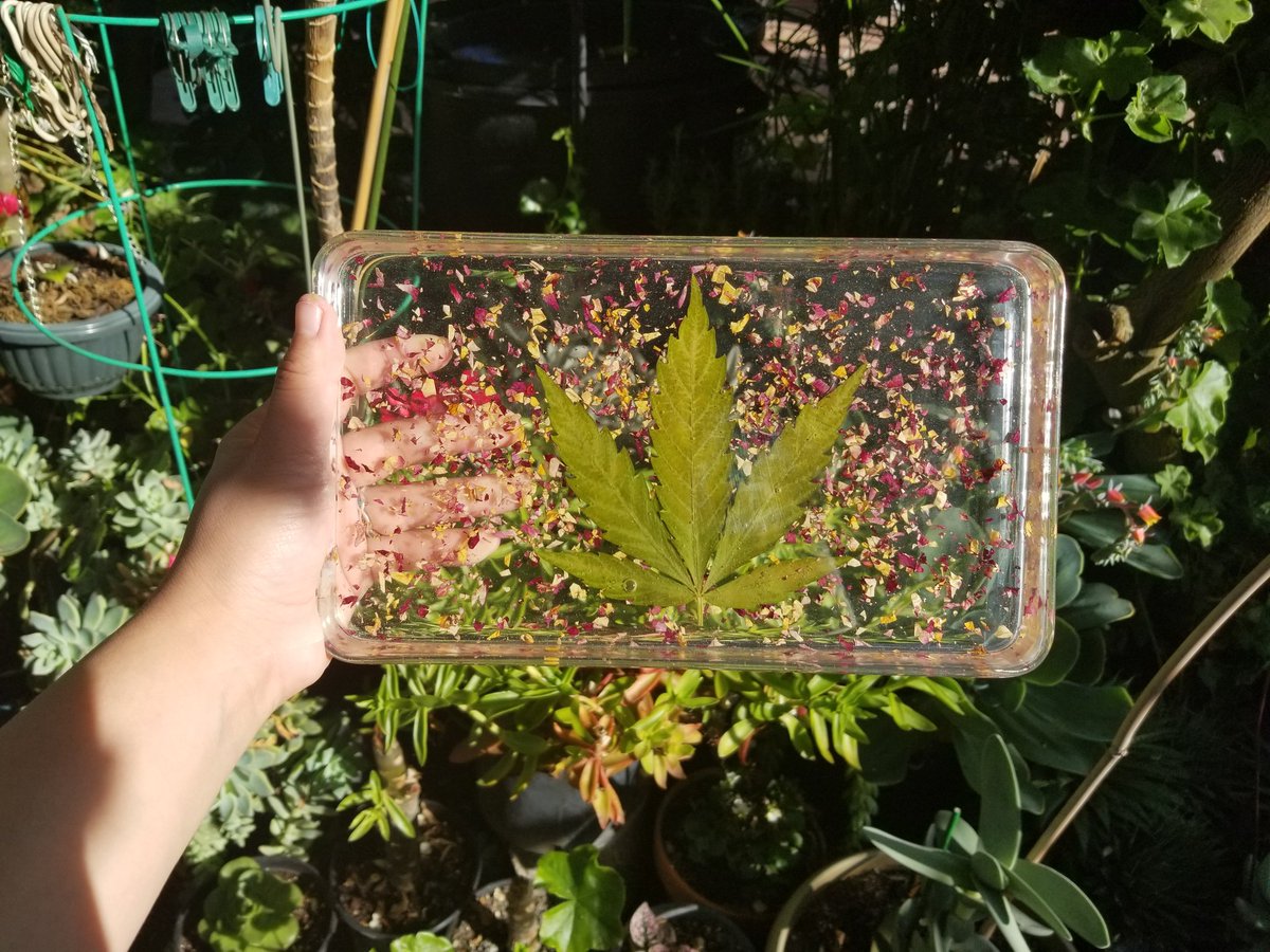 sawa75757's tweet photo. Please check out my shop's newest items! I poured my whole heart into these handmade trays! Please take a second to check them out on my etsy! Thank you!🥰
(Link in bio)🌿
https://t.co/lFyCBHmPKy
#Trays #largetrays #rollingtrays #Sycamore #Weed #Rose #TigersEye #TheGroundedFern https://t.co/qykBZcuc6f