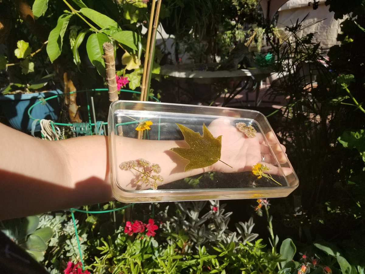 sawa75757's tweet photo. Please check out my shop's newest items! I poured my whole heart into these handmade trays! Please take a second to check them out on my etsy! Thank you!🥰
(Link in bio)🌿
https://t.co/lFyCBHmPKy
#Trays #largetrays #rollingtrays #Sycamore #Weed #Rose #TigersEye #TheGroundedFern https://t.co/qykBZcuc6f