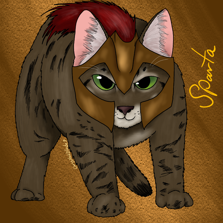 SNecronomicon's tweet photo. Rest In Peace Sparta we’ll never forget you 😔
#RIPSparta #YouTube #cats #Kitty #TheMeanKitty https://t.co/yH7NyYPuLG