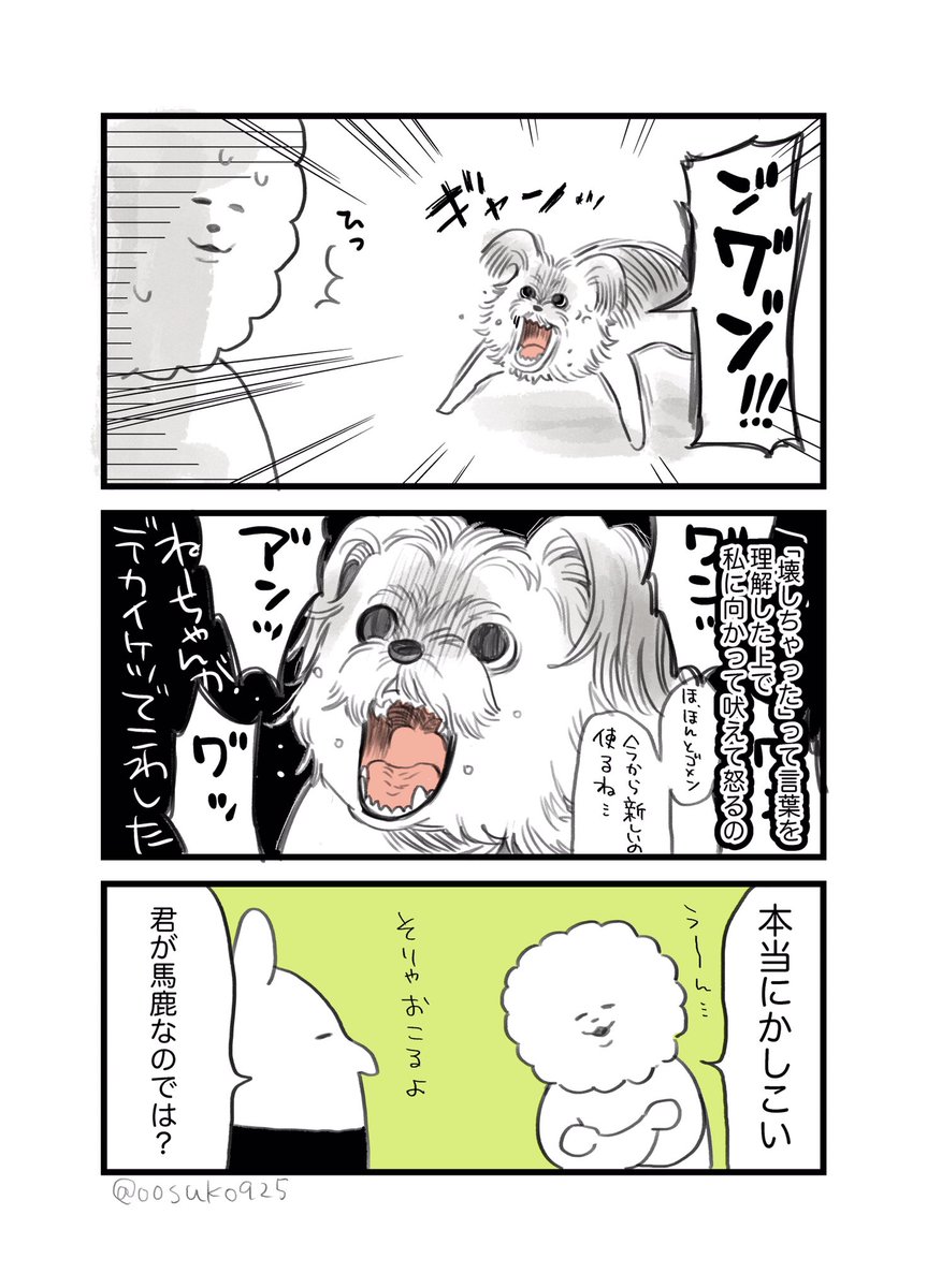 犬のおもいで2
壊されたことを家族にもちゃんと報告しにいく 