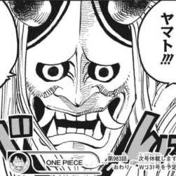 Log ワンピース考察 どっちも般若面 うーむ 特に関係ない気もする 笑 T Co 2jdnzbwuqe Twitter