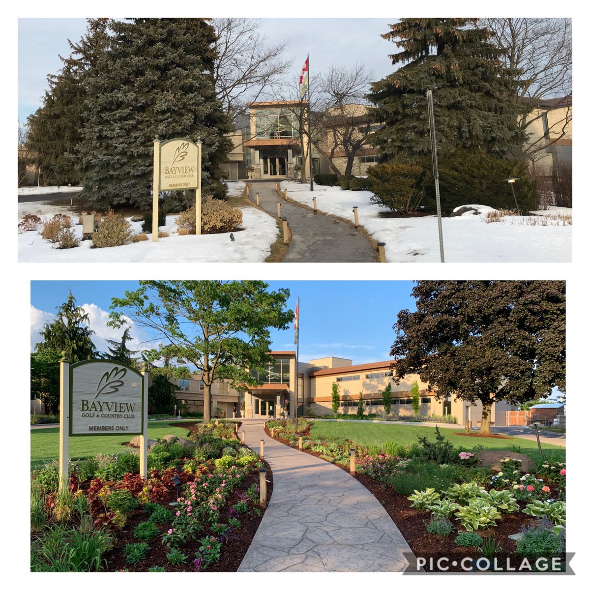 Very pleased with the revamped clubhouse front lawn @BayviewClub -  from vision to reality.  Thanks to consulting horticulturalist Angela Bartlett for her expertise and to the team for their hard work.