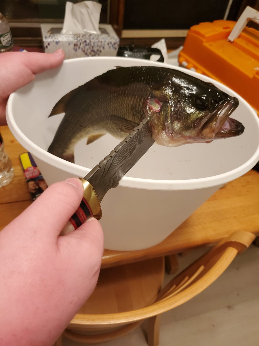 Bass- it's what's for (tomorrow's) dinner, lol! First one of the season.
