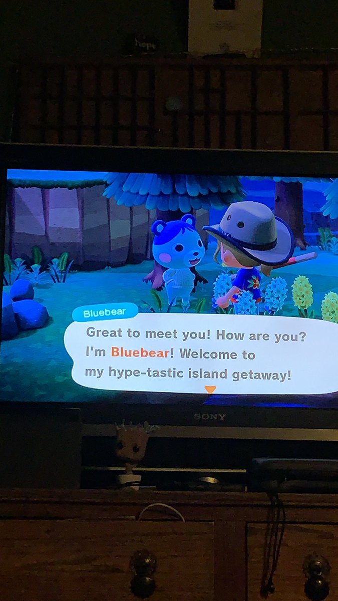 bluebear  sweetie  julia forgive me i already have two cubs