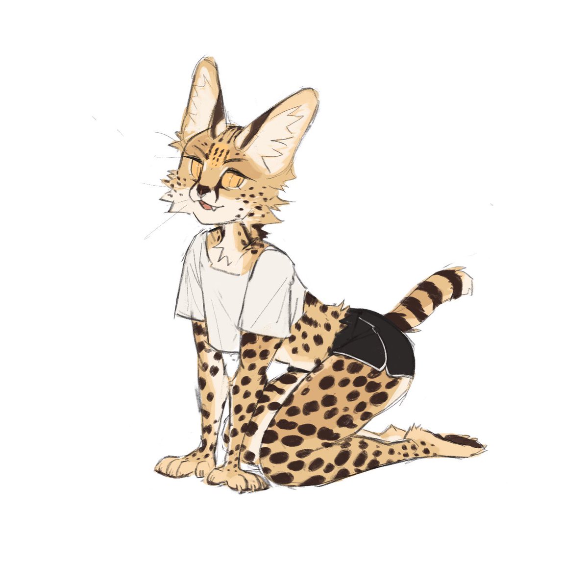 strayserval's tweet photo. who ordered the lex? lex with extra serval? https://t.co/b2WmChAwik