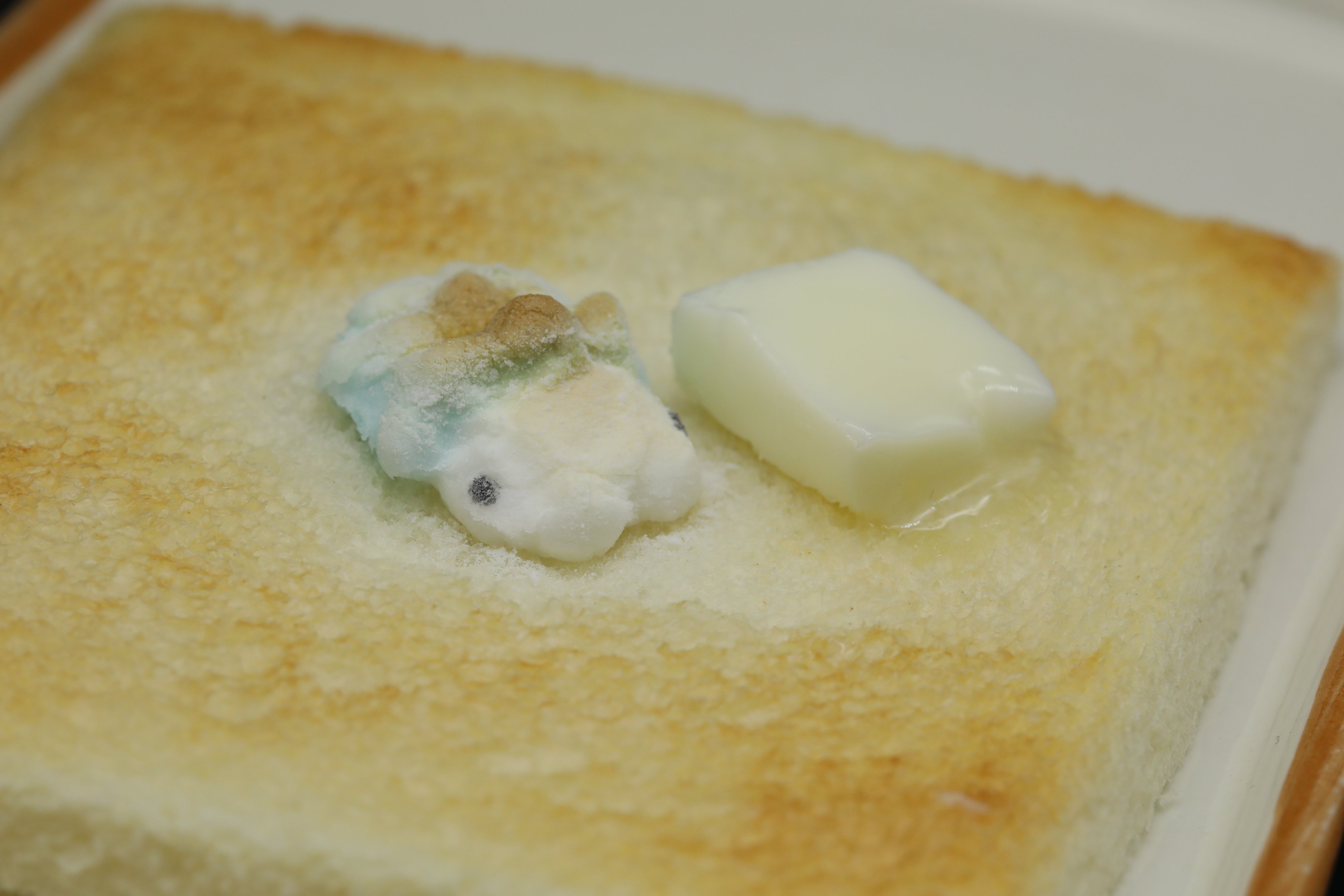 ホイップシュガー みんな ３０００いいねありがとうございます Rtもいっぱい 海外の方にも行っててユキハミちゃんの人気に歓喜です 妻も大喜び Vなんとか耐えたヤキハミちゃんも載せておきます たすき持ちかな T Co Vzayubev3b