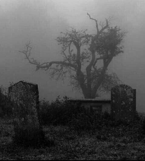 TicaProductions's tweet image. Ghostly #Cinematic #VisualDirector